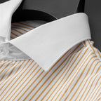 Elliot Pinstripe Dress Shirt — Allyours Closet (view 10)