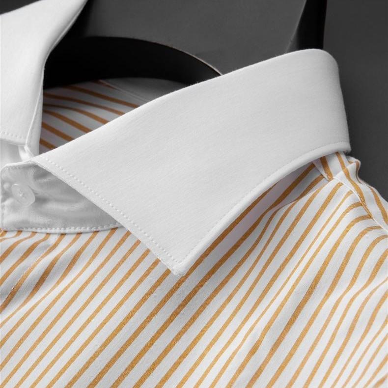 Elliot Pinstripe Dress Shirt — Allyours Closet (view 10)