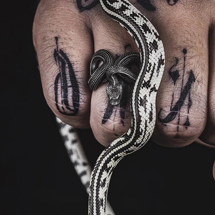 Serpent Ring — Allyours Closet (view 4)