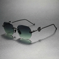 Antibes Snake-Temple Sunglasses — Allyours Closet